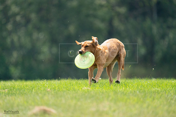 RielVisuals_20240727_122411_SJR05459