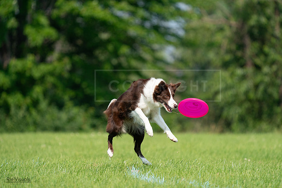 RielVisuals_20240727_095817_SJR08129