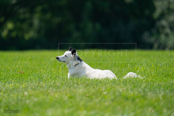 RielVisuals_20240728_121757_SJR03496