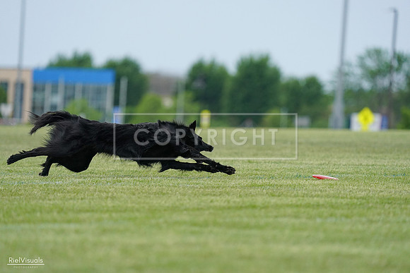 RielVisuals_20240525_164917_SJR05512