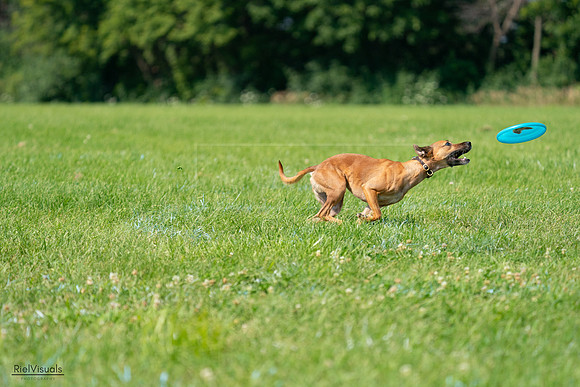 RielVisuals_20240728_102555_SJR08035