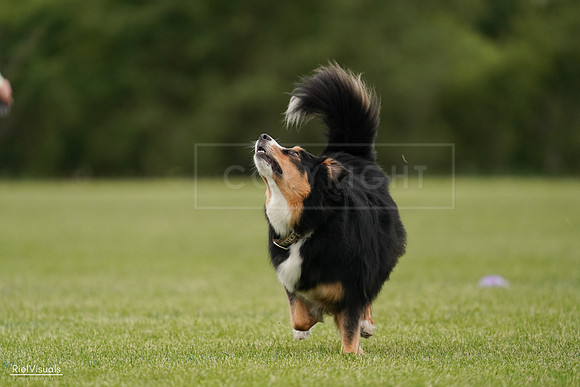 RielVisuals_20240526_135231_SJR09366
