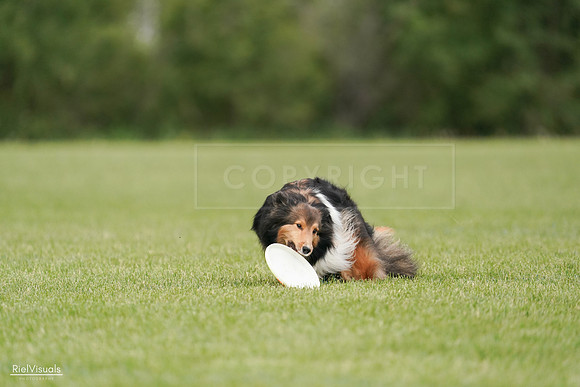 RielVisuals_20240527_140907_SJR01591