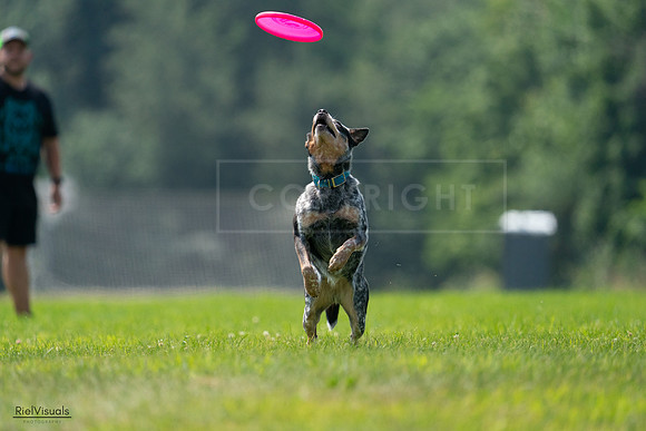 RielVisuals_20240727_120240_SJR04588