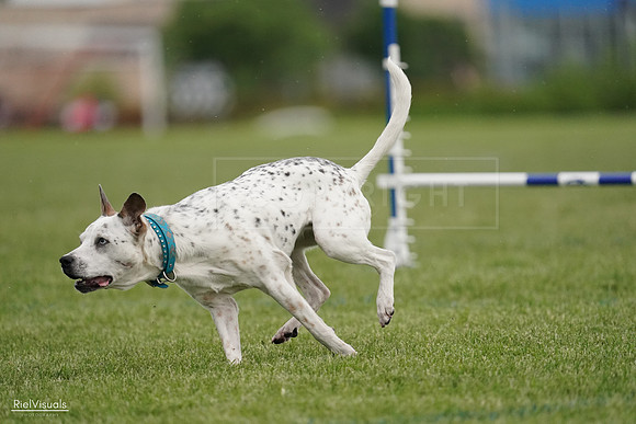RielVisuals_20240526_090746_SJR09138