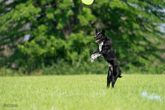 RielVisuals_20240727_094411_SJR07404