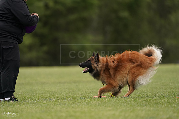 RielVisuals_20240526_134730_SJR09081