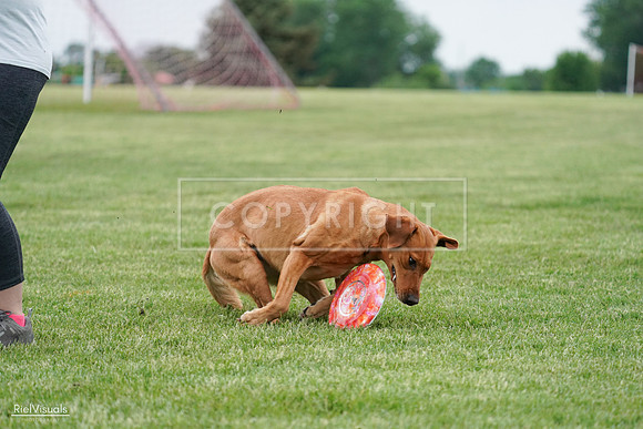 RielVisuals_20240525_165902_SJR05760