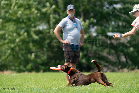 RielVisuals_20240727_140944_SJR09730
