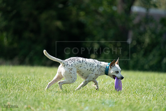 RielVisuals_20240728_151516_SJR00381