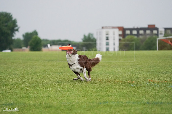 RielVisuals_20240527_091341_SJR06515