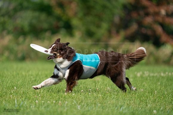 RielVisuals_20240728_102007_SJR07848