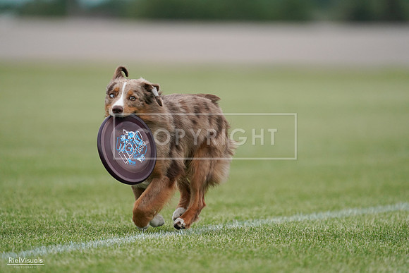 RielVisuals_20240525_163618_SJR05030
