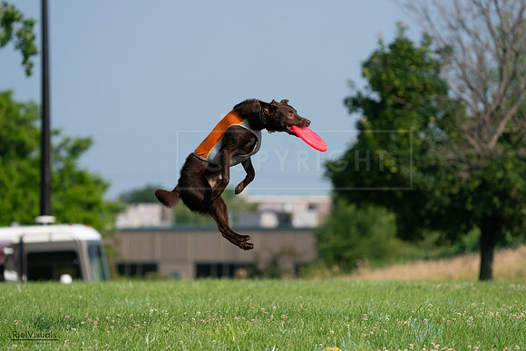 RielVisuals_20240727_092513_SJR06267