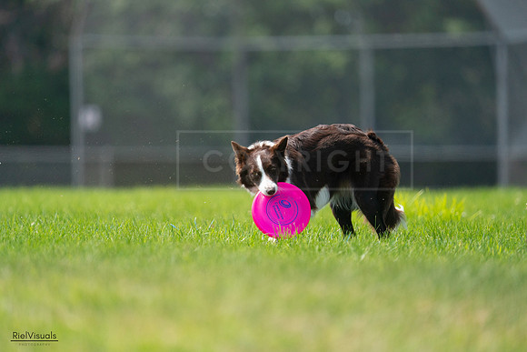 RielVisuals_20240727_115535_SJR04283