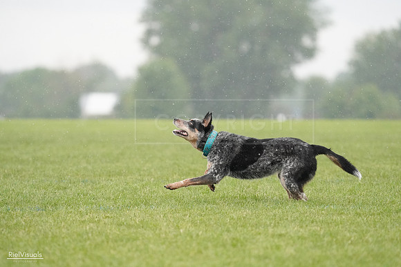 RielVisuals_20240527_105131_SJR01938