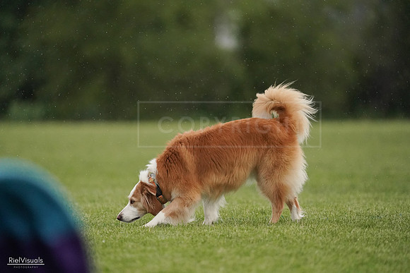 RielVisuals_20240526_093906_SJR00638