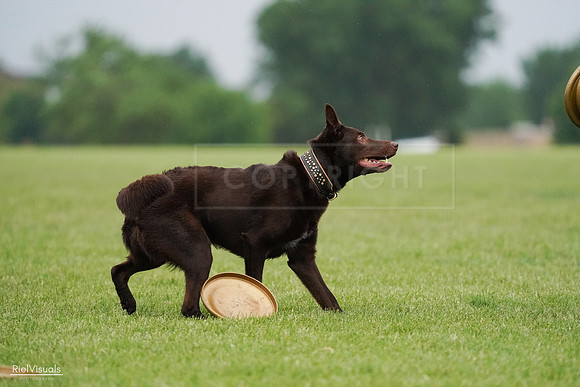 RielVisuals_20240527_090857_SJR06231