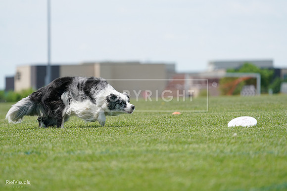 RielVisuals_20240525_123629_SJR00564