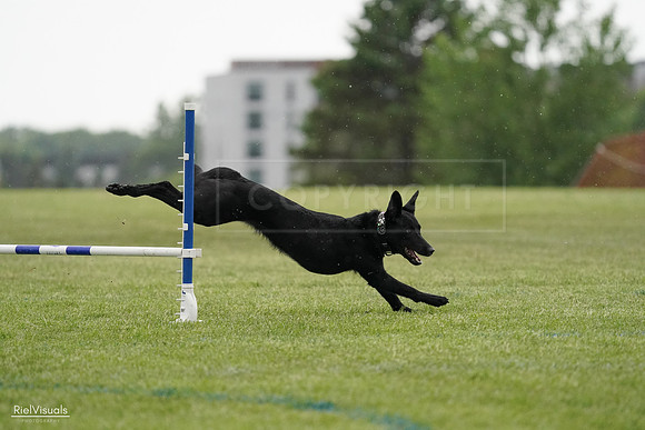 RielVisuals_20240526_092232_SJR09766