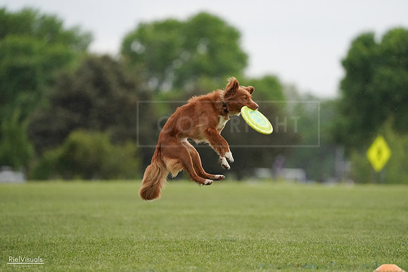 RielVisuals_20240526_093152_SJR00311