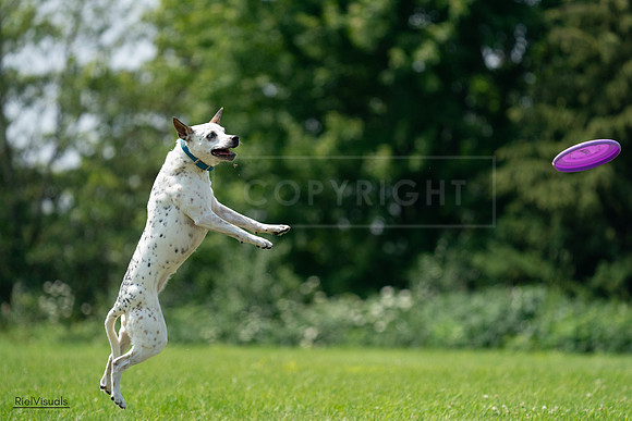 RielVisuals_20240728_133543_SJR06690