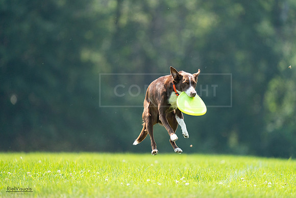 RielVisuals_20240727_121055_SJR04929