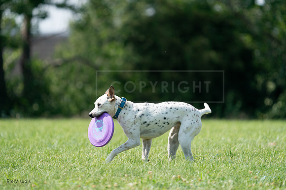 RielVisuals_20240728_151618_SJR00491