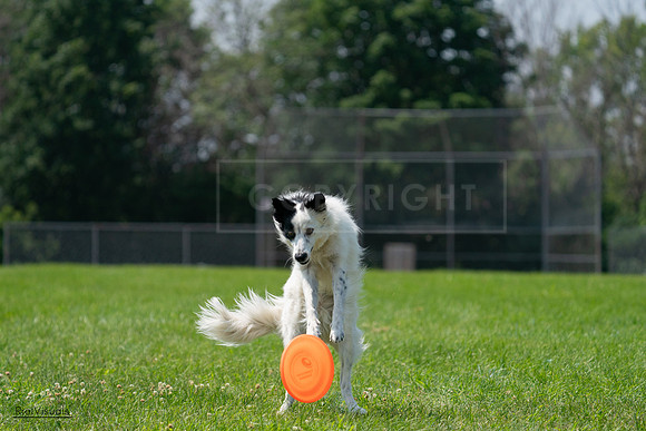 RielVisuals_20240728_121842_SJR03583