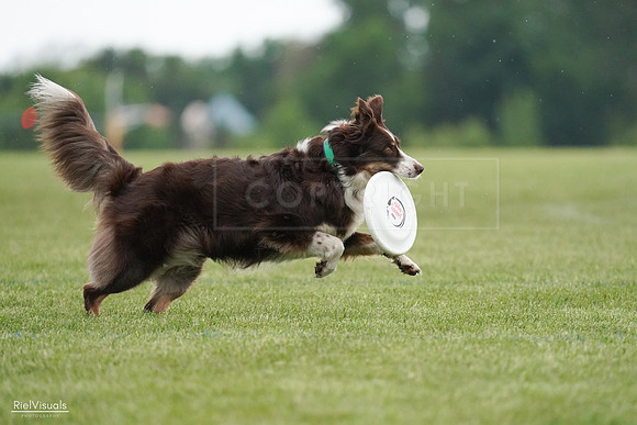 RielVisuals_20240526_090417_SJR09001
