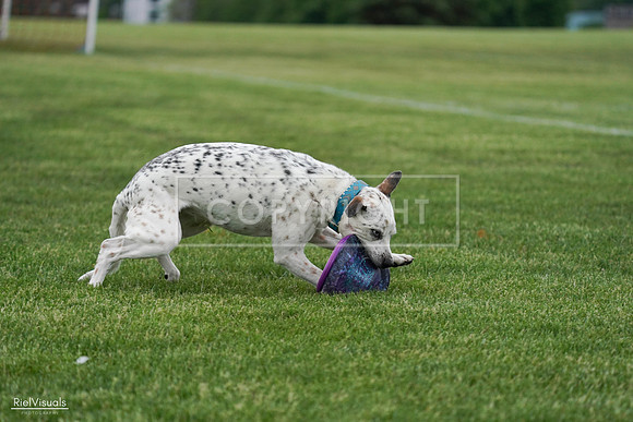 RielVisuals_20240525_171132_SJR06378