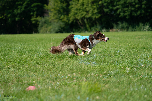 RielVisuals_20240728_101959_SJR07815