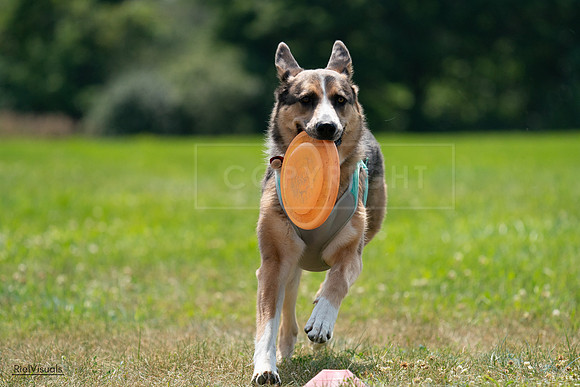 RielVisuals_20240728_140302_SJR07889