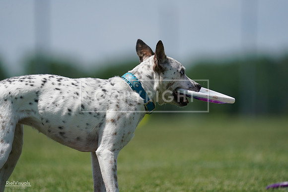 RielVisuals_20240525_120420_SJR08553
