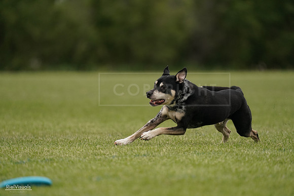 RielVisuals_20240526_134438_SJR08918