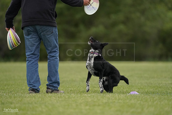 RielVisuals_20240526_132650_SJR07767