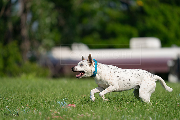 RielVisuals_20240727_095416_SJR07968
