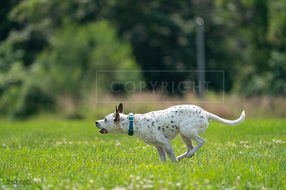 RielVisuals_20240728_140018_SJR07757