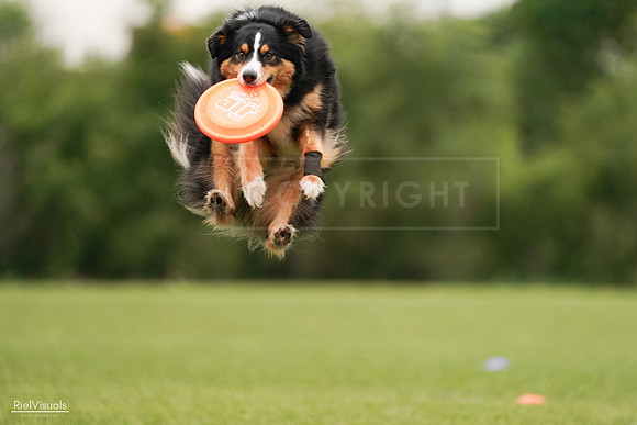 RielVisuals_20240527_133216_SJR00144
