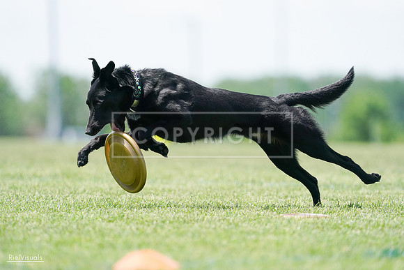 RielVisuals_20240525_122504_SJR09786