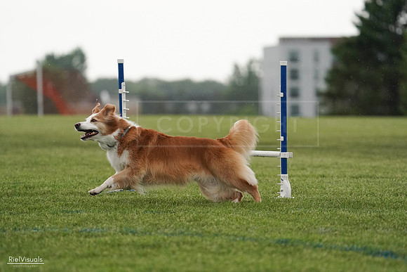 RielVisuals_20240526_094008_SJR00690