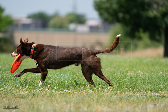 RielVisuals_20240727_140953_SJR09756