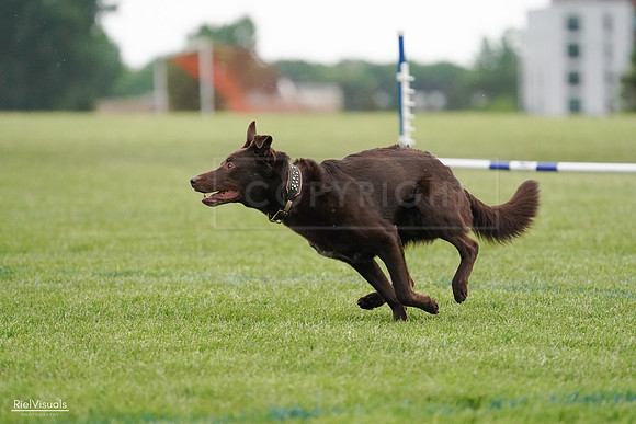 RielVisuals_20240526_091001_SJR09265