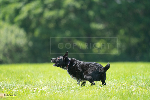 RielVisuals_20240728_115526_SJR02389