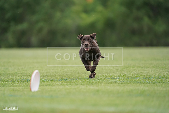 RielVisuals_20240525_162801_SJR04525