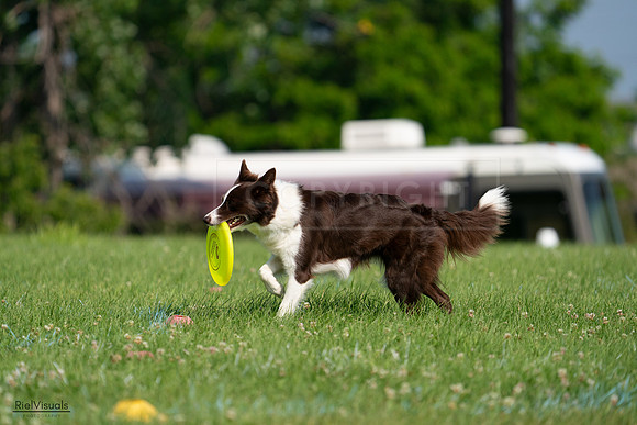 RielVisuals_20240727_095811_SJR08111