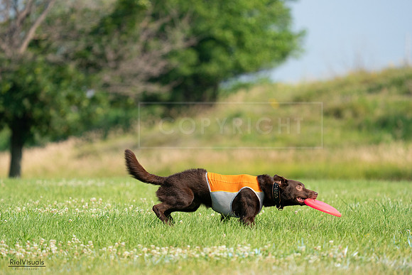RielVisuals_20240727_092450_SJR06191