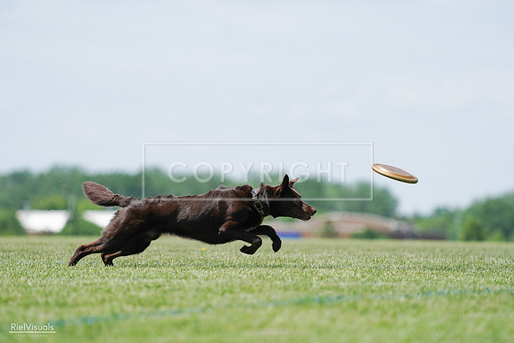 RielVisuals_20240525_120812_SJR08788