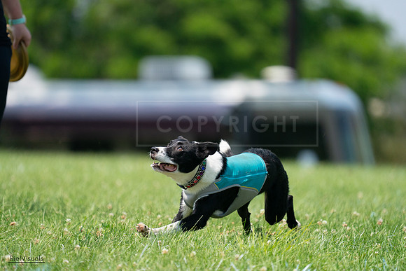 RielVisuals_20240727_135625_SJR08996