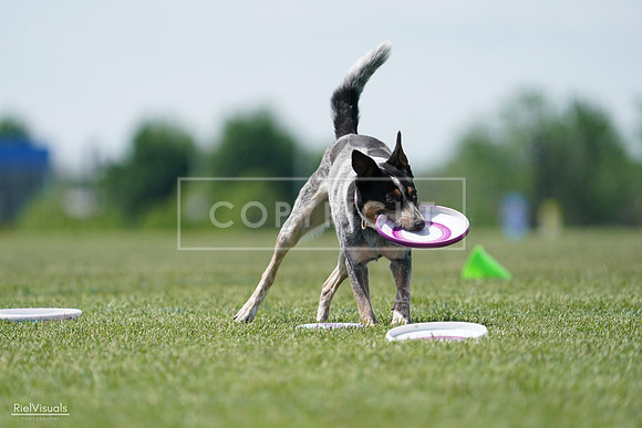 RielVisuals_20240525_122334_SJR09735
